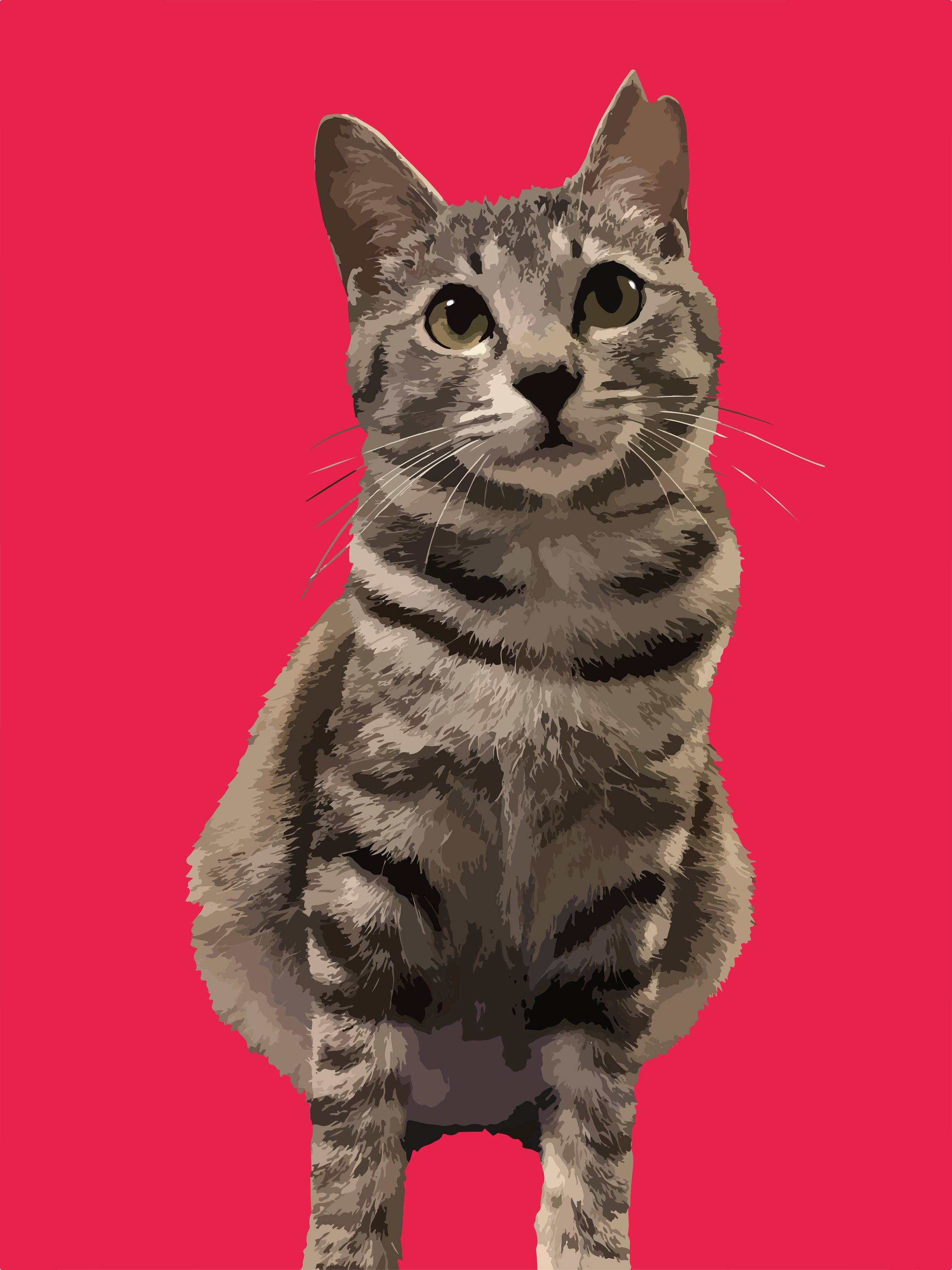 イラスト【飼い猫シリーズ①】-1