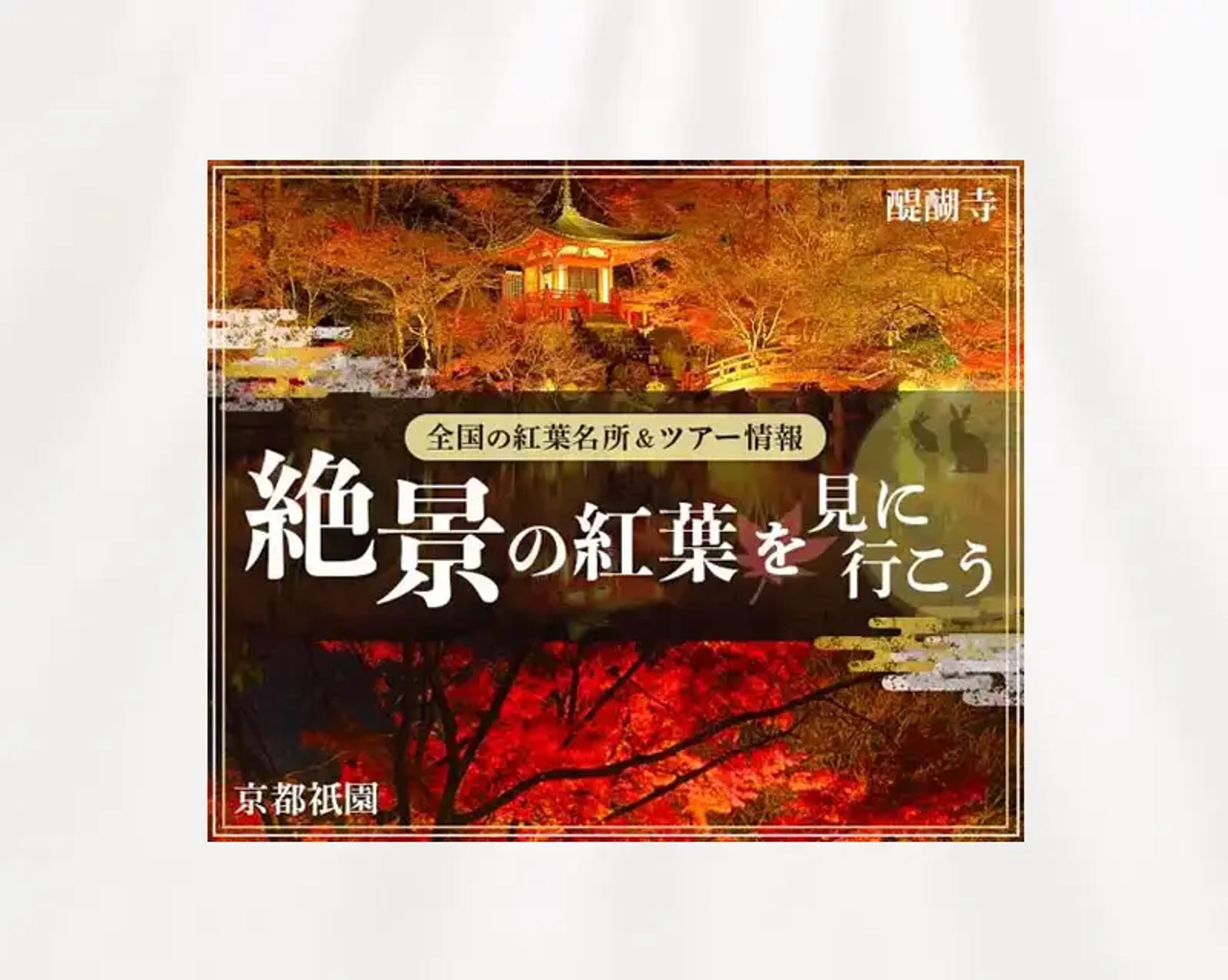     バナー｜紅葉名所&ツアー-1