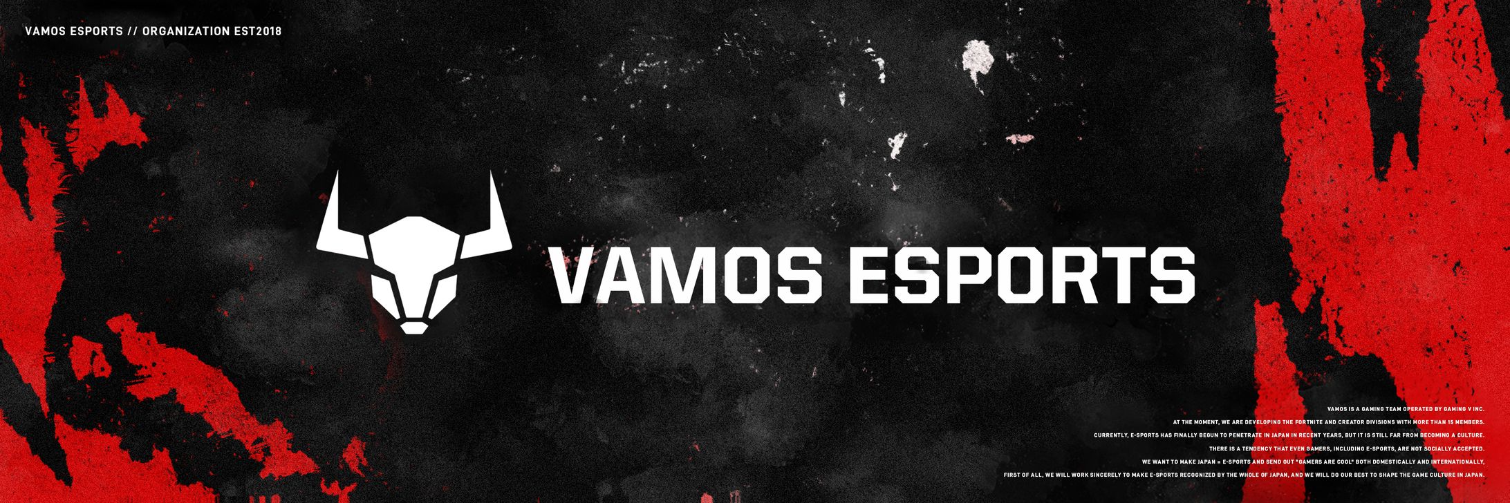 VAMOS ESPORTS-1
