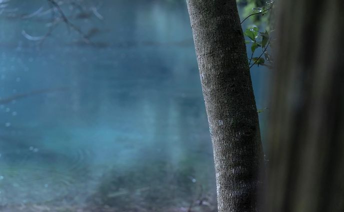 Website 更新のお知らせ　Notice of website update.

皆様こんにちは。
Websiteを更新しましたので
よろしければ是非ご覧ください。

Hello everyone.
Website has been updated.
Please take a look.

https://hiroshi-yamaoka.com

撮影地は、山形の遊佐町 にある丸池様です。
そこには一期一会の風景との出会いがありました。

The shooting location is Maruike-sama in Yusa-cho, Yamagata.
There was an encounter with the once-in-a-lifetime scenery.

#현대미술 
#abstractexpression
 #contemporaryart
 #artgeneve
 #写真好きな人と繋がりたい 
#現代アート
 #現代アート好きな人と繋がりたい
 #아트전시회
 #아티스트
 #photography
 #photooftheday
 #사진스타그램 
#contemporaryphotography
 #tokyoart
 #tokyoartist
 #abstractexpression
 #사진작가
 #contemparyart
 #artgeneve
 #現代芸術 
#사진스타그램
#bnw_greatshots
#bnw_lumeilio
#capturabnw
#fineartphotography 
#igersjp
#instagramjapan
#lensbabyambassador
#masters_in_bnw