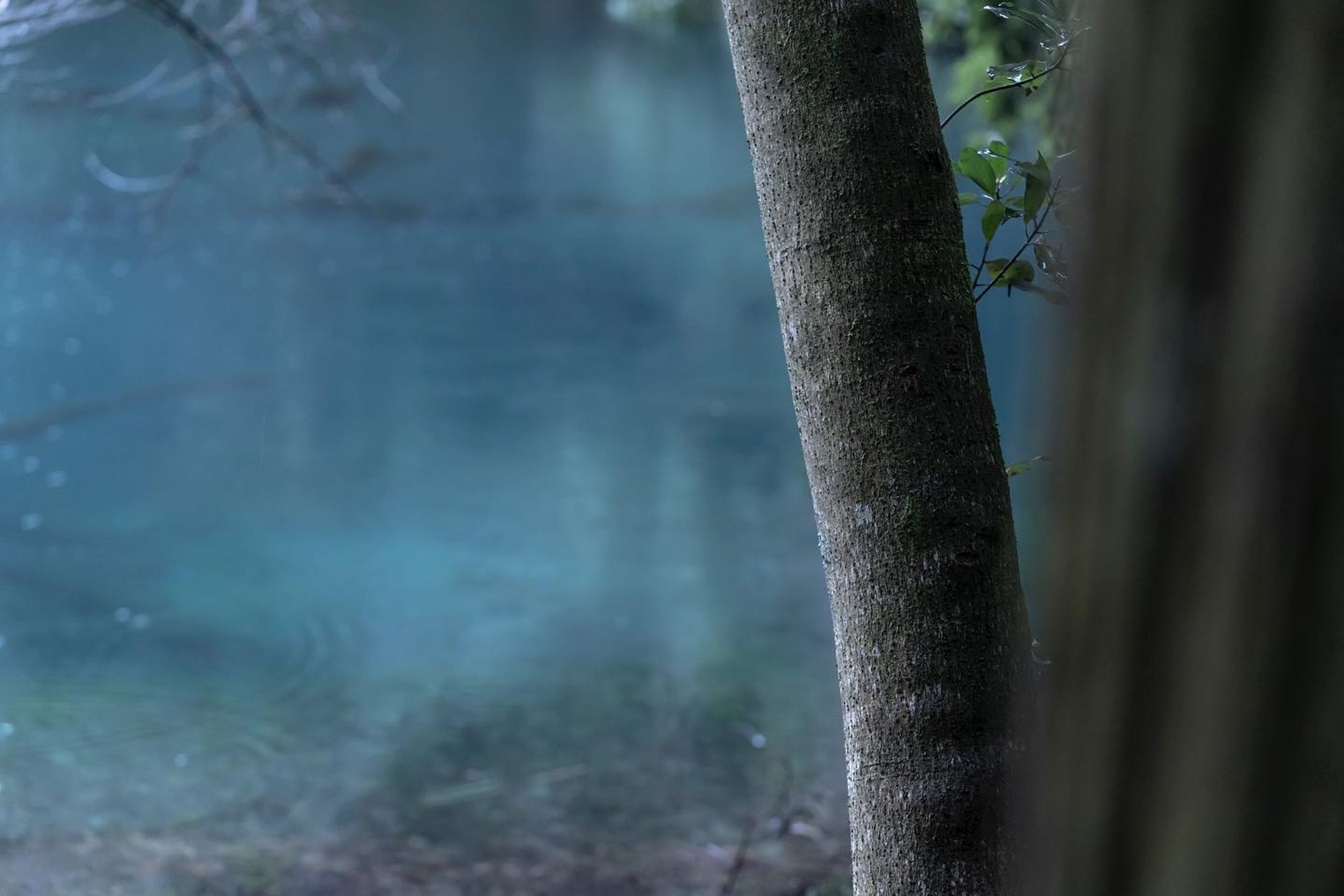 Website 更新のお知らせ　Notice of website update.

皆様こんにちは。
Websiteを更新しましたので
よろしければ是非ご覧ください。

Hello everyone.
Website has been updated.
Please take a look.

https://hiroshi-yamaoka.com

撮影地は、山形の遊佐町 にある丸池様です。
そこには一期一会の風景との出会いがありました。

The shooting location is Maruike-sama in Yusa-cho, Yamagata.
There was an encounter with the once-in-a-lifetime scenery.

#현대미술 
#abstractexpression
 #contemporaryart
 #artgeneve
 #写真好きな人と繋がりたい 
#現代アート
 #現代アート好きな人と繋がりたい
 #아트전시회
 #아티스트
 #photography
 #photooftheday
 #사진스타그램 
#contemporaryphotography
 #tokyoart
 #tokyoartist
 #abstractexpression
 #사진작가
 #contemparyart
 #artgeneve
 #現代芸術 
#사진스타그램
#bnw_greatshots
#bnw_lumeilio
#capturabnw
#fineartphotography 
#igersjp
#instagramjapan
#lensbabyambassador
#masters_in_bnw-1