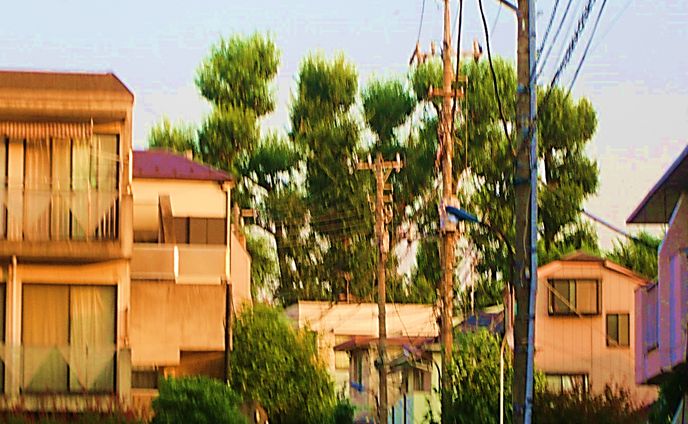 早宮から氷川台