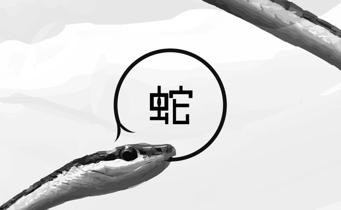 蛇