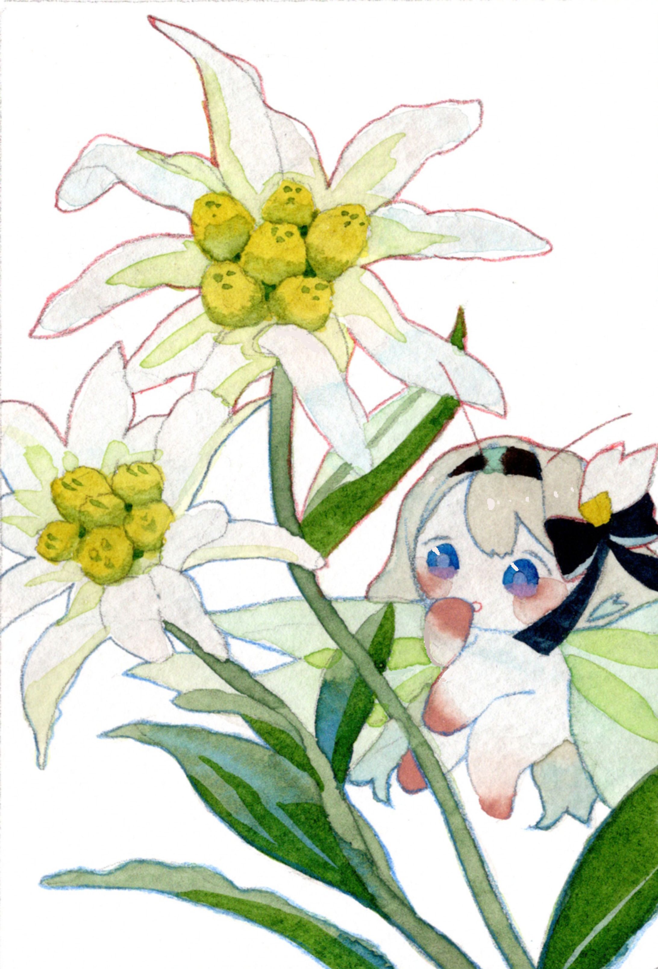 水彩画４種類-1