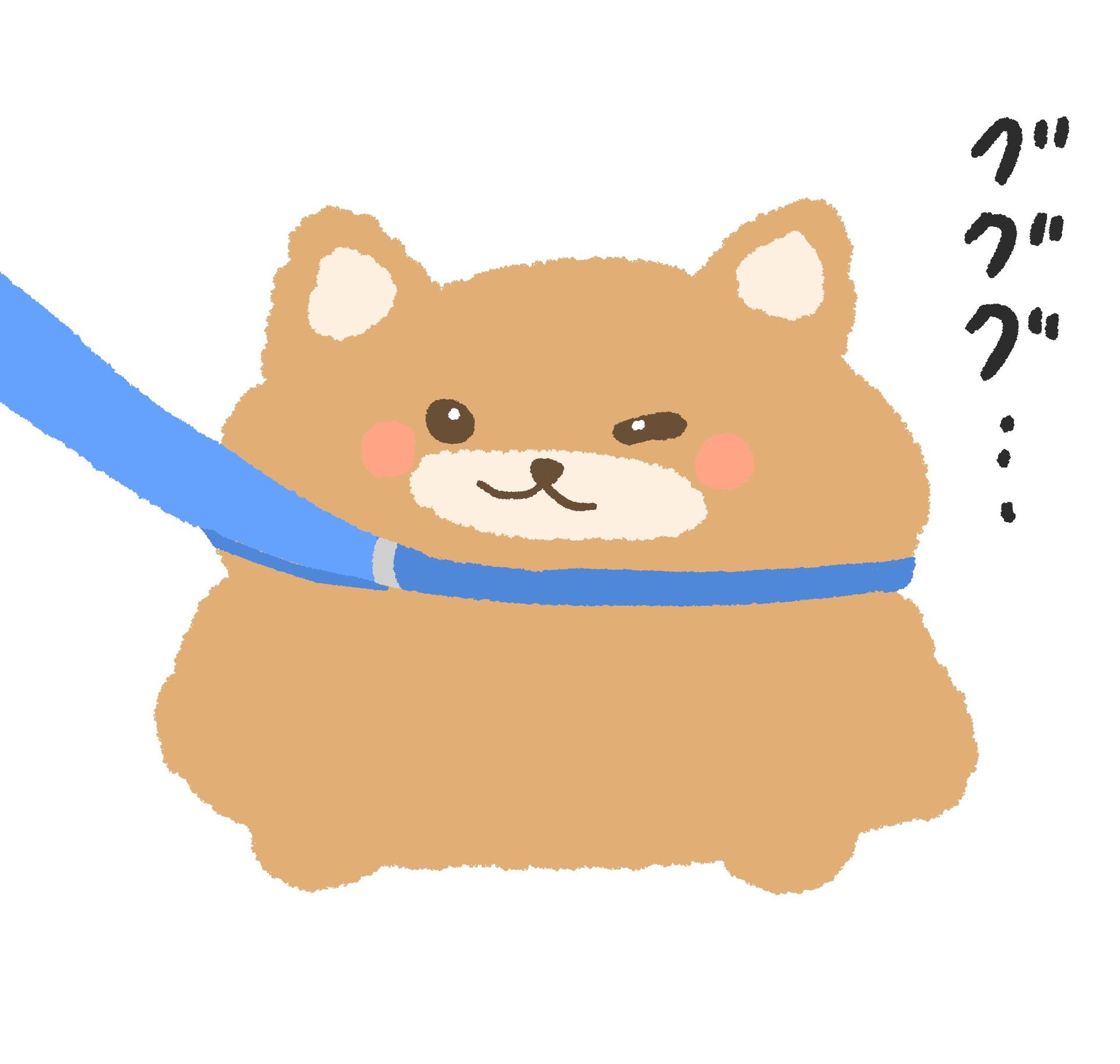 拒否シバ-1