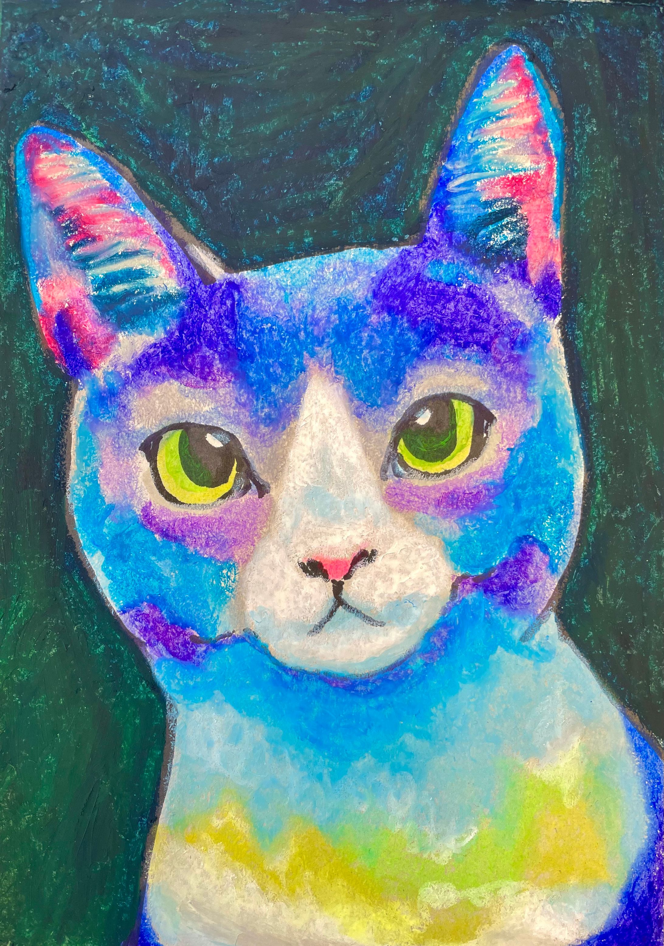 カラフル猫-1