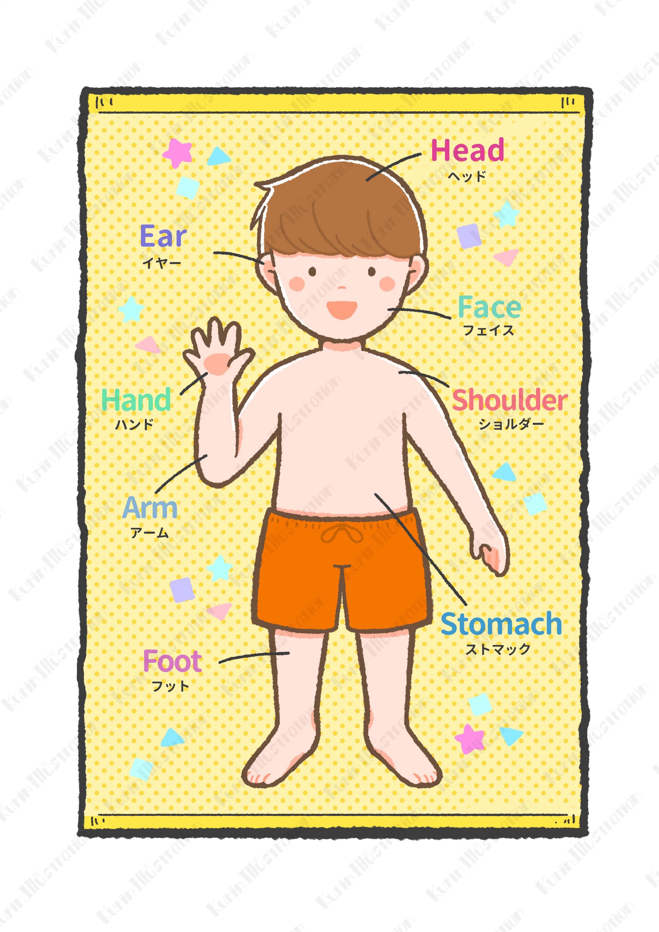 クラウドファンディング用 商品紹介イラスト-1