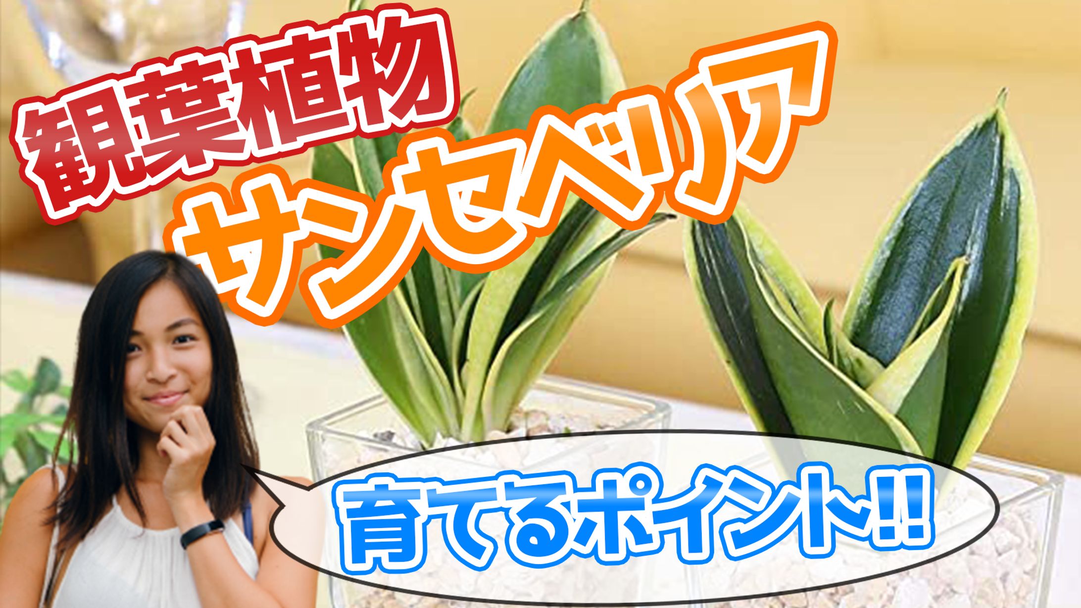 サムネイル（サンプル）-1