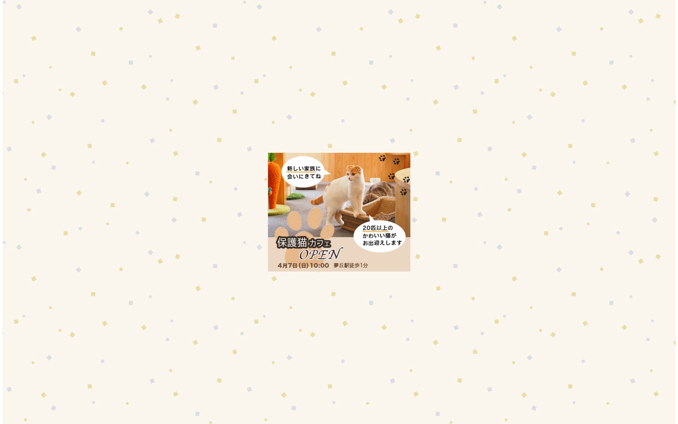 保護猫カフェバナー-1