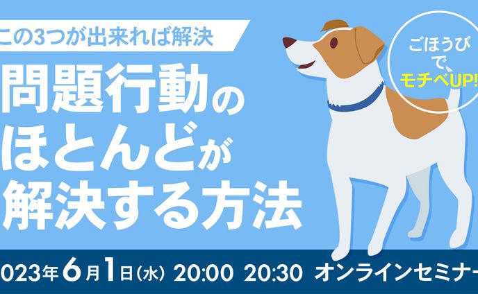 動物系、サムネ(ビジネス系)