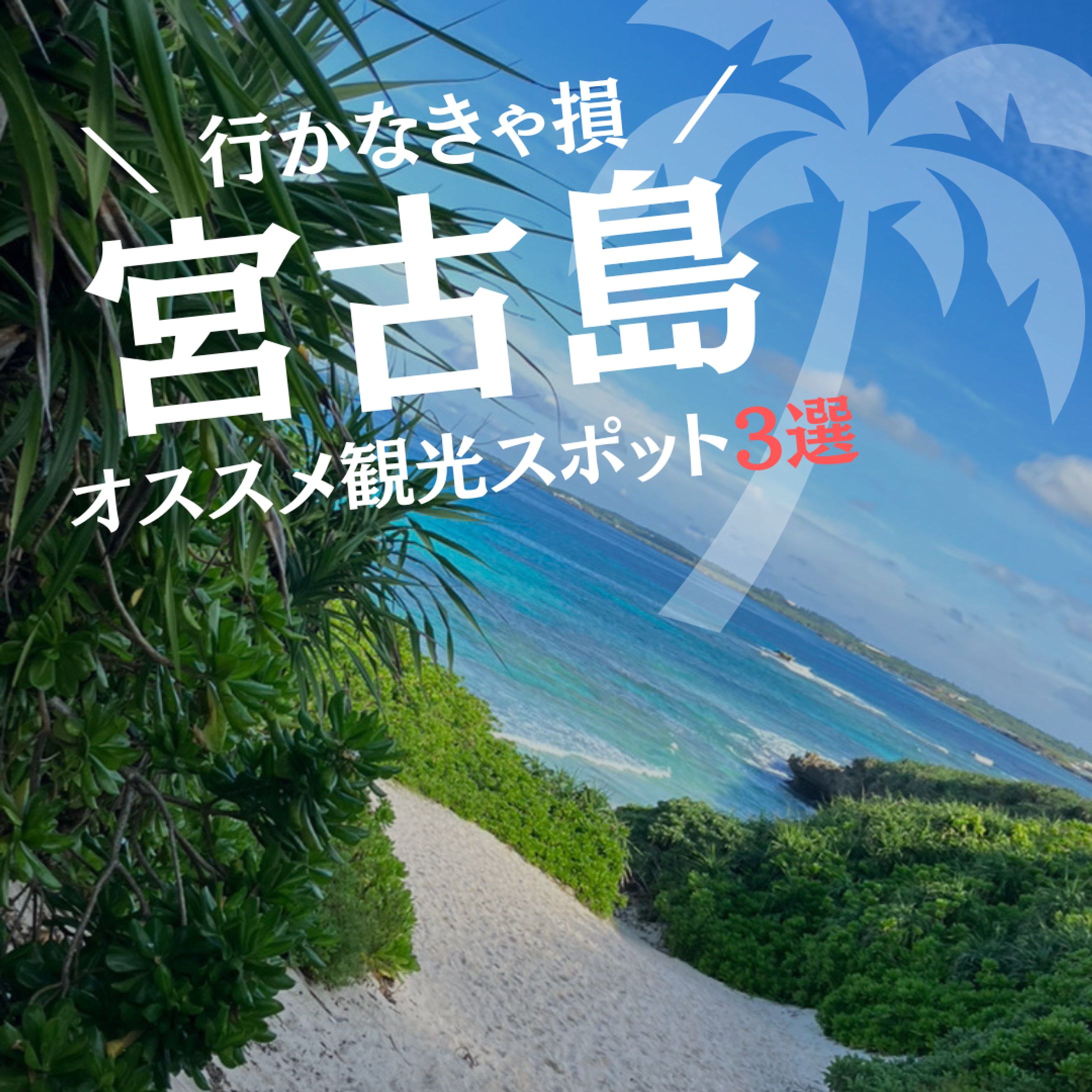 投稿画像-1
