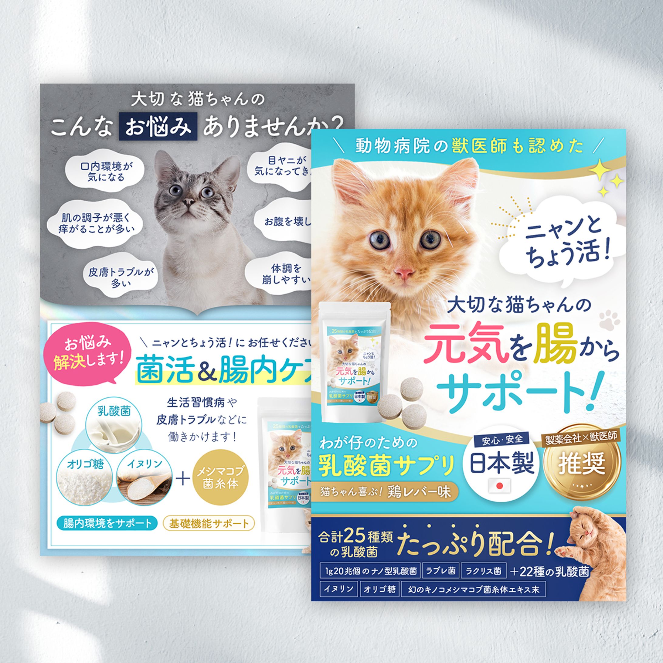【EC商品画像】ペットサプリ-1