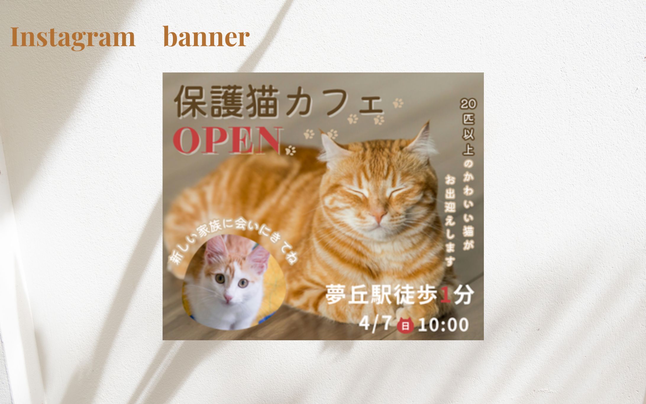 【架空案件】保護猫カフェOPENバナー-1
