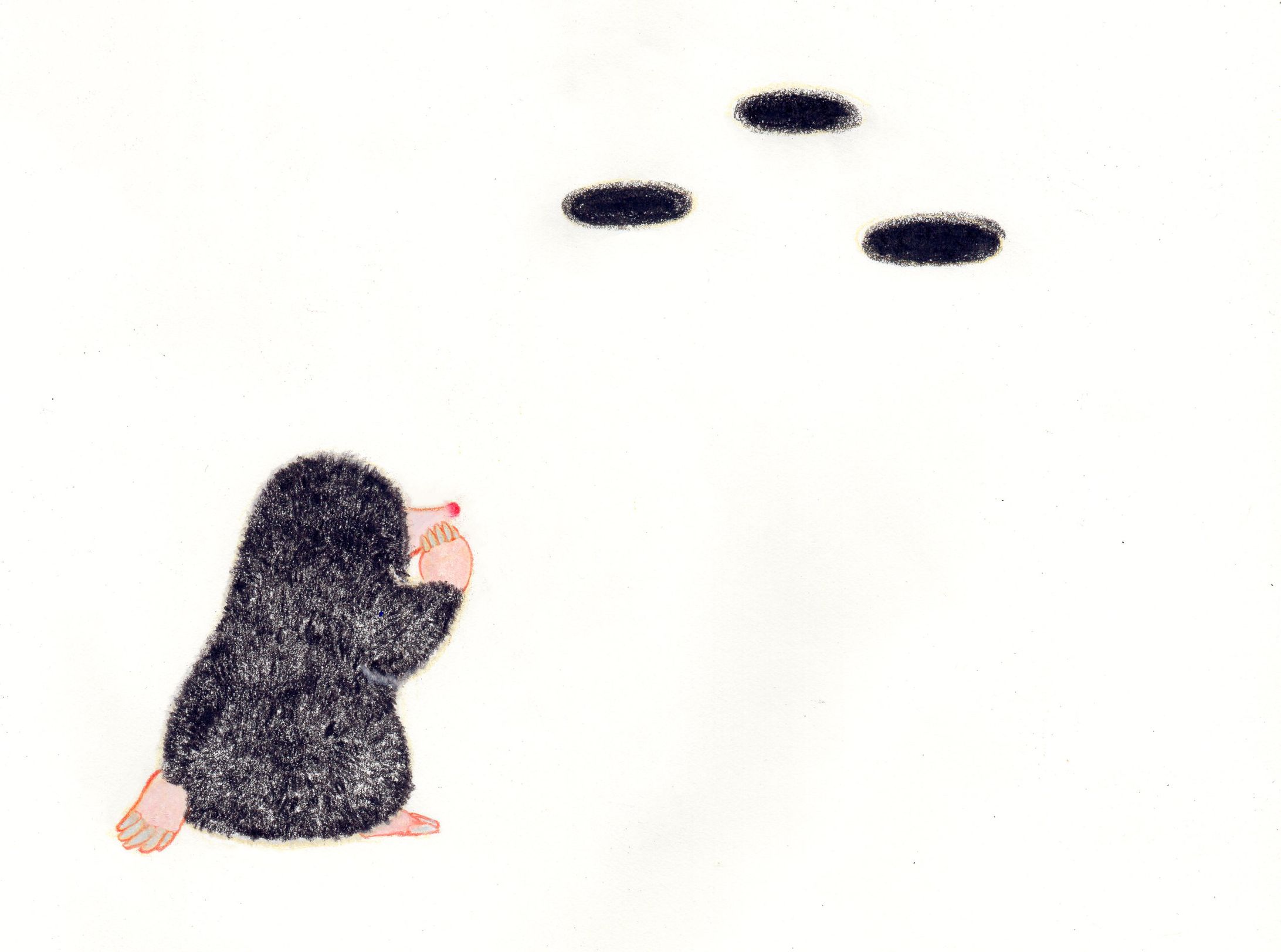 もぐら-1