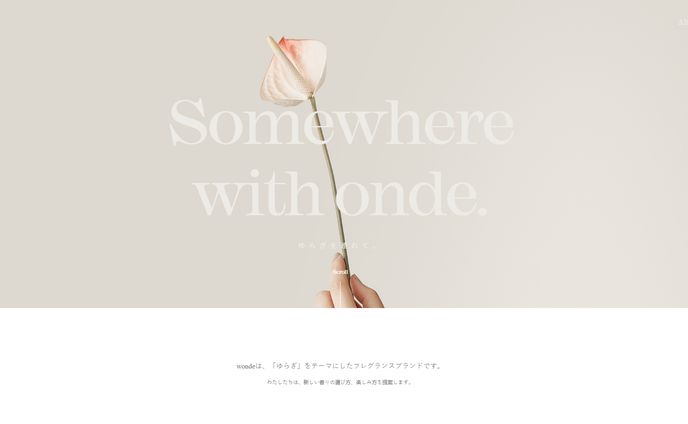 会社名 株式会社PATRA HP