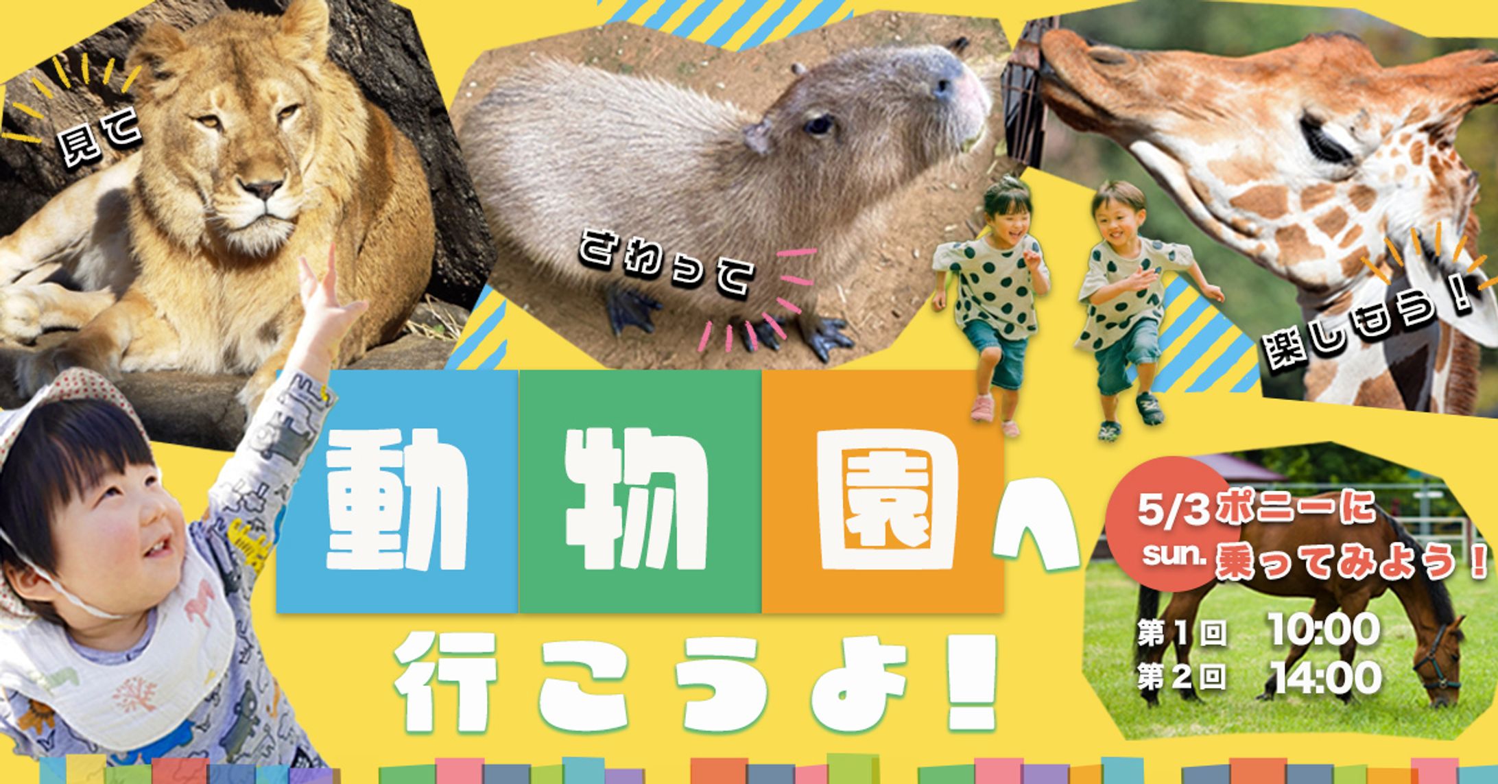 動物園の告知バナー-1