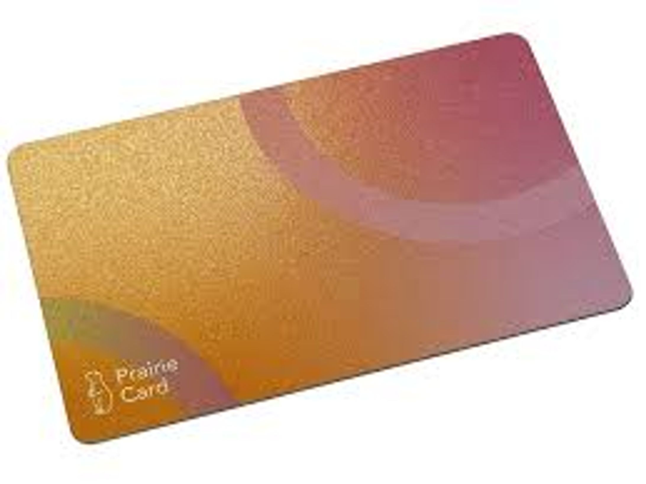 NFCデジタルビジネスカードの世界市場予測レポート：成長率、主要企業調査、ランキング2025-2031-1