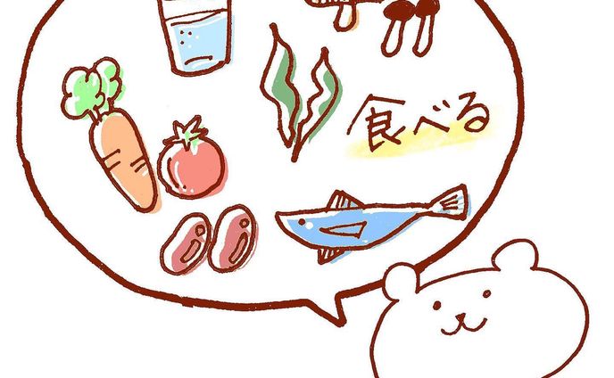 コーダー、イラストレーション