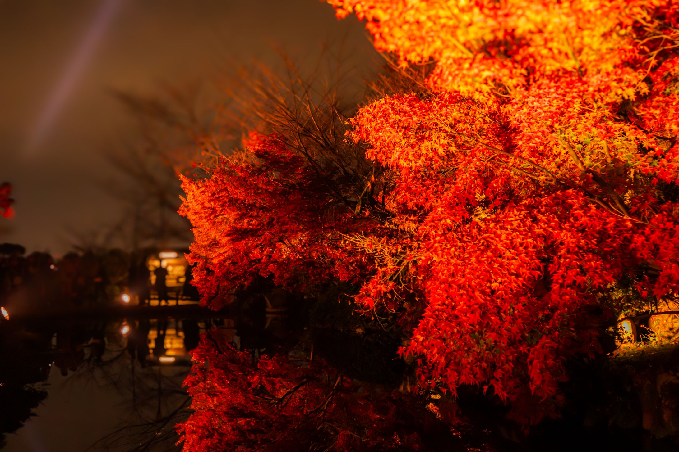 紅く輝く清水寺-1