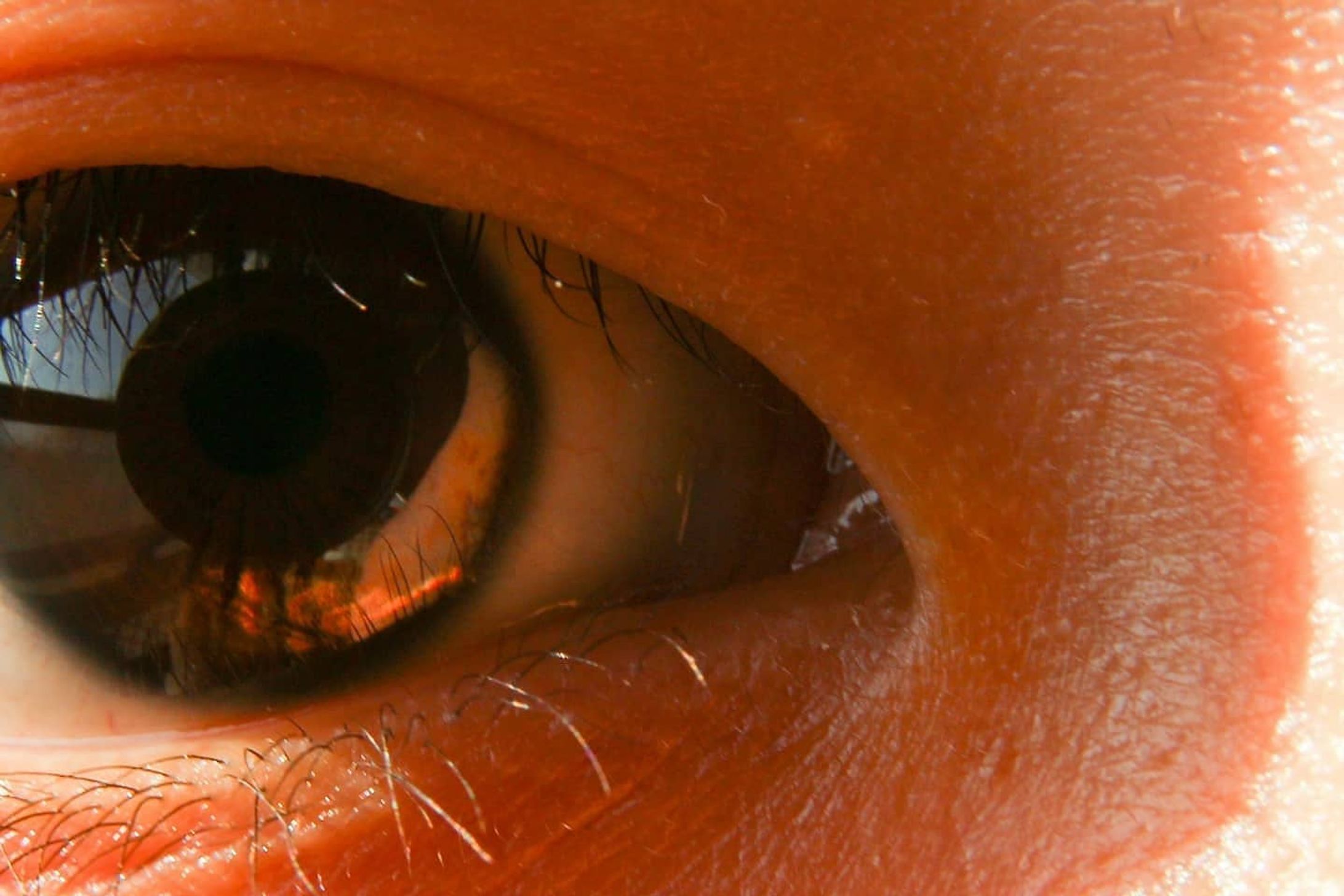 .
eyes on the future-1