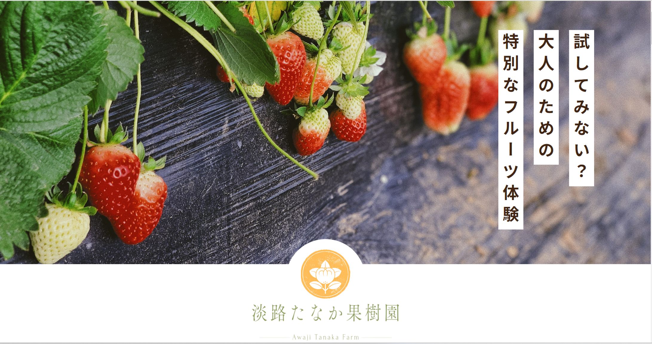 淡路たなか果樹園【架空サイト】-1