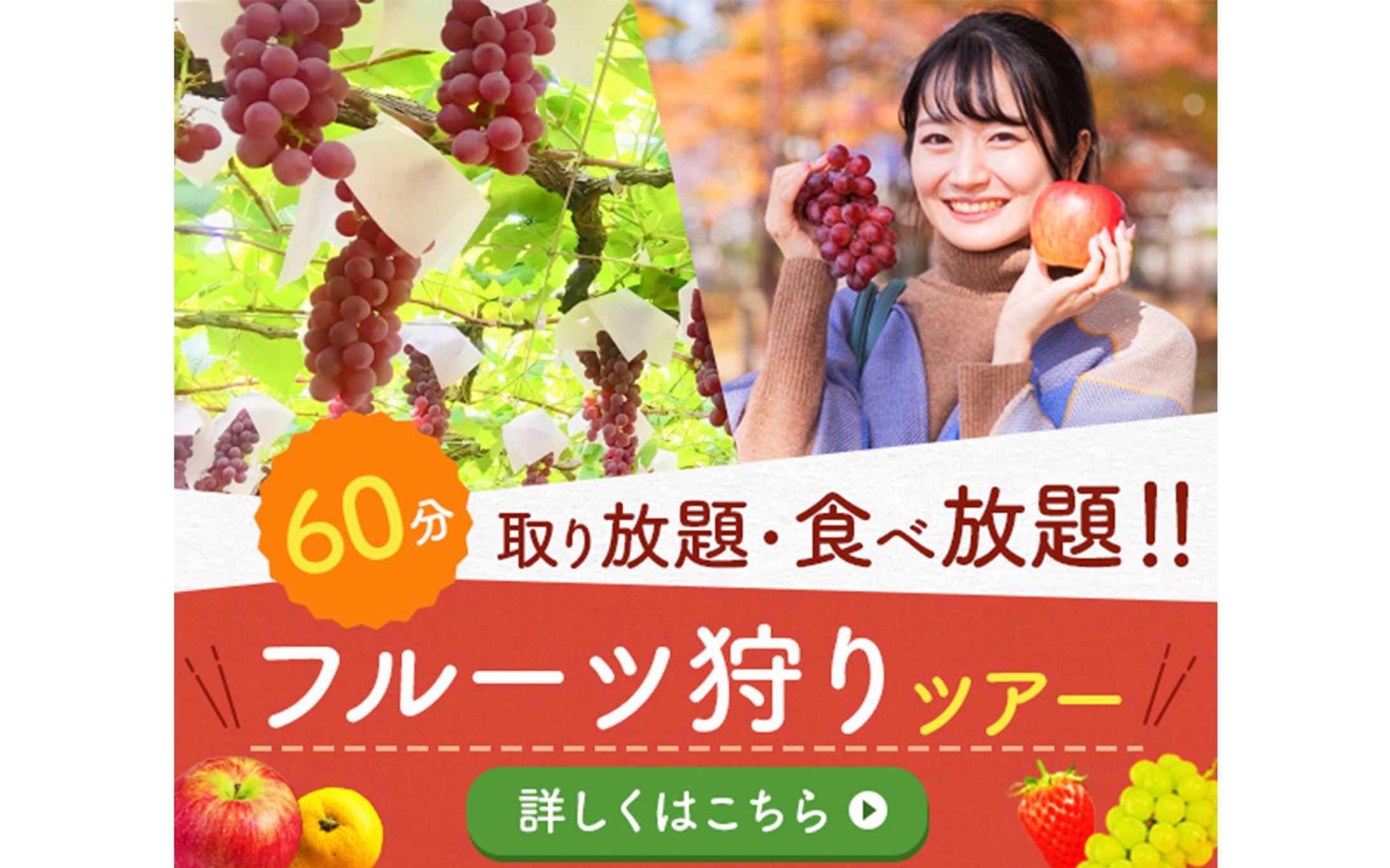 バナー：フルーツ狩り-1