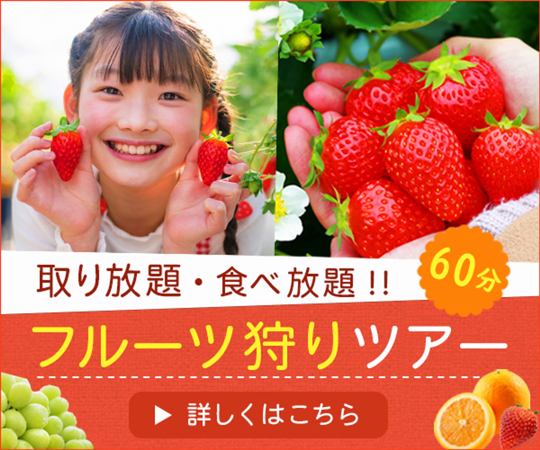 バナー：フルーツ狩りツアー-1
