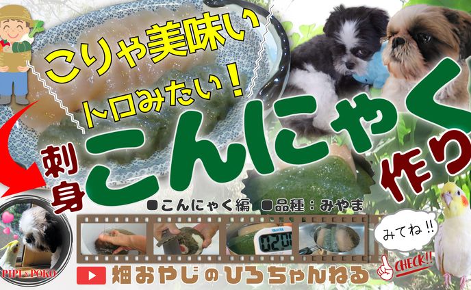 ●YouTube用サムネイル 