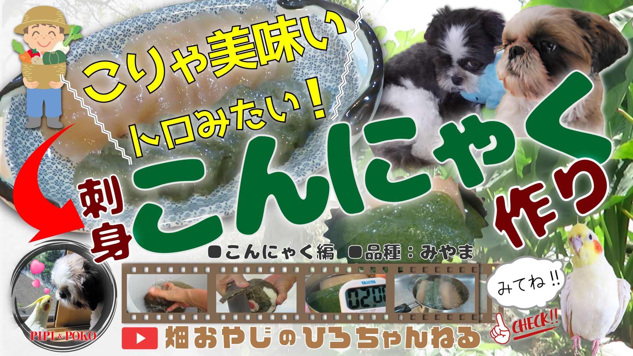 ●YouTube用サムネイル -1