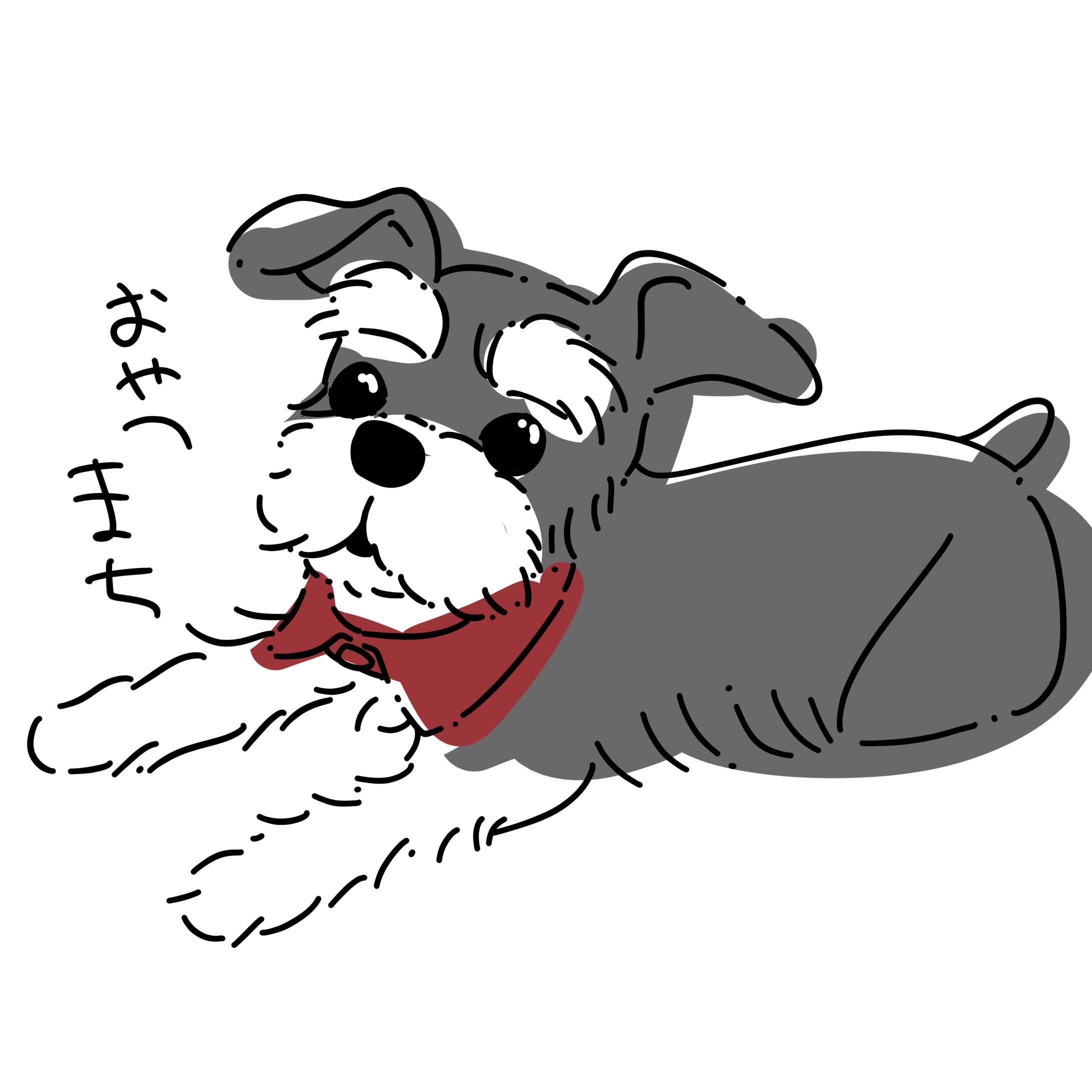 ミニチュアシュナウザー-1