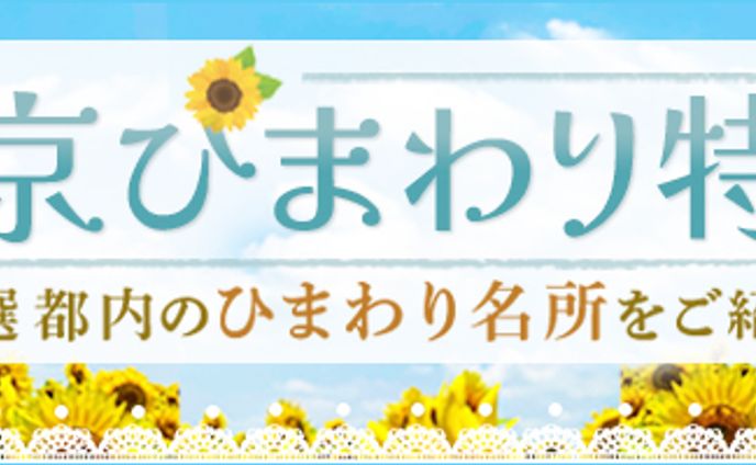 【横長バナー】東京ひまわり特集