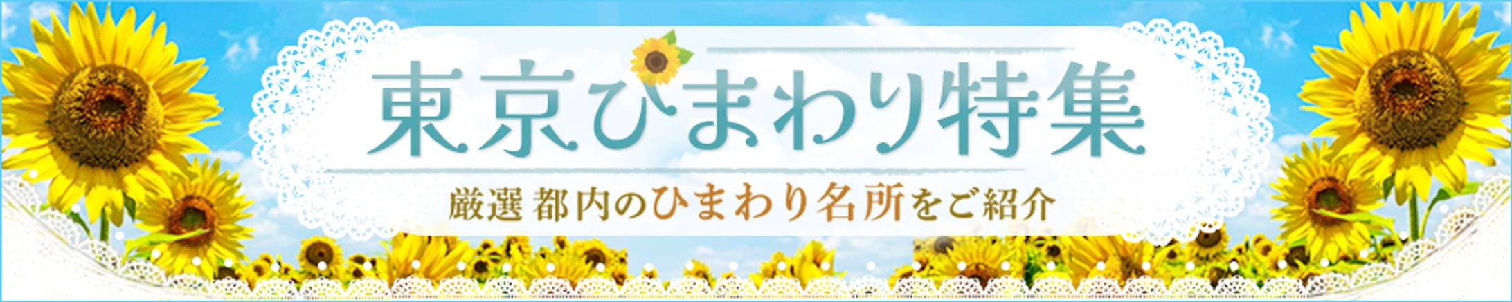 【横長バナー】東京ひまわり特集-1