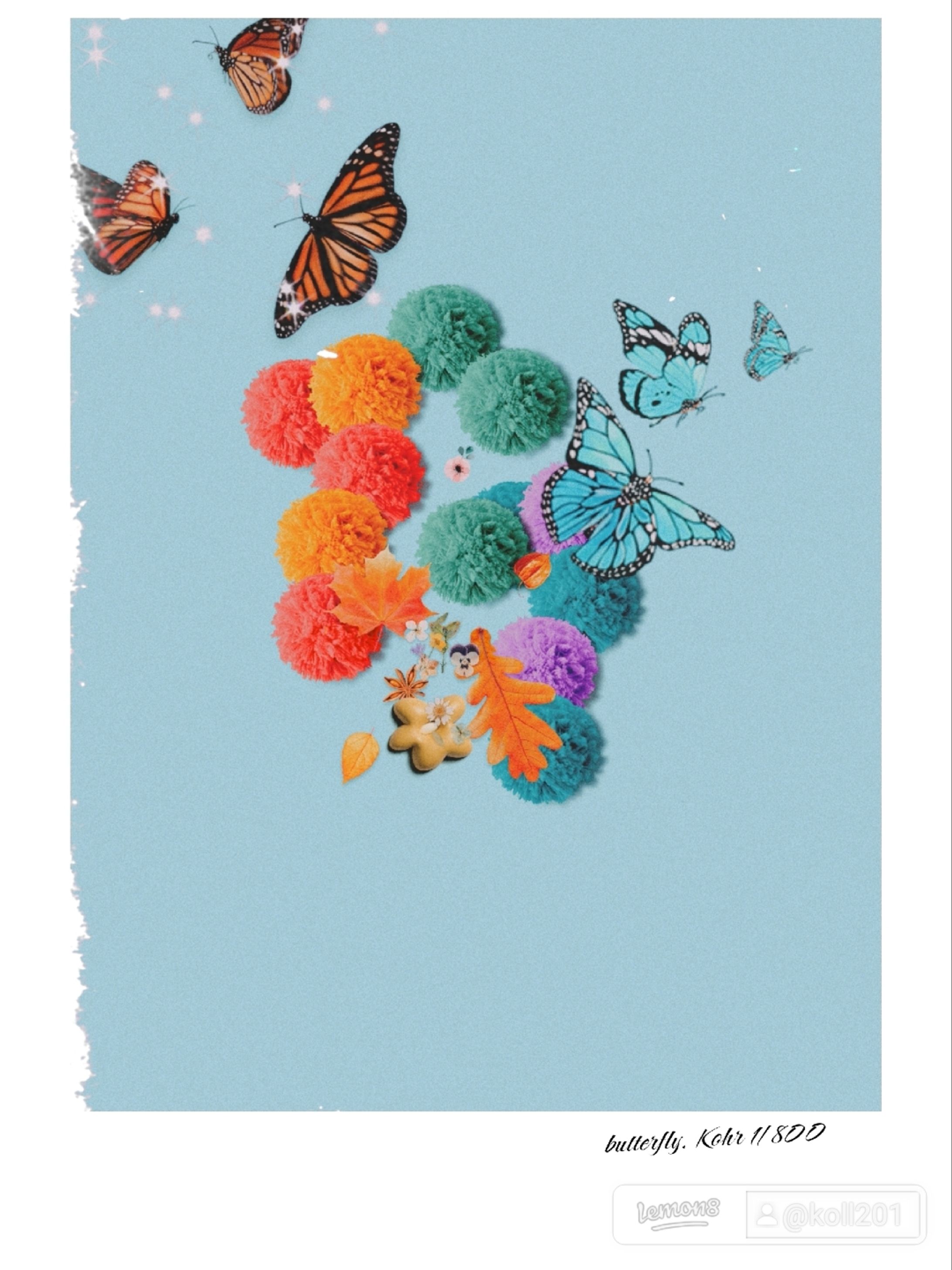 butterfly 1/800-1