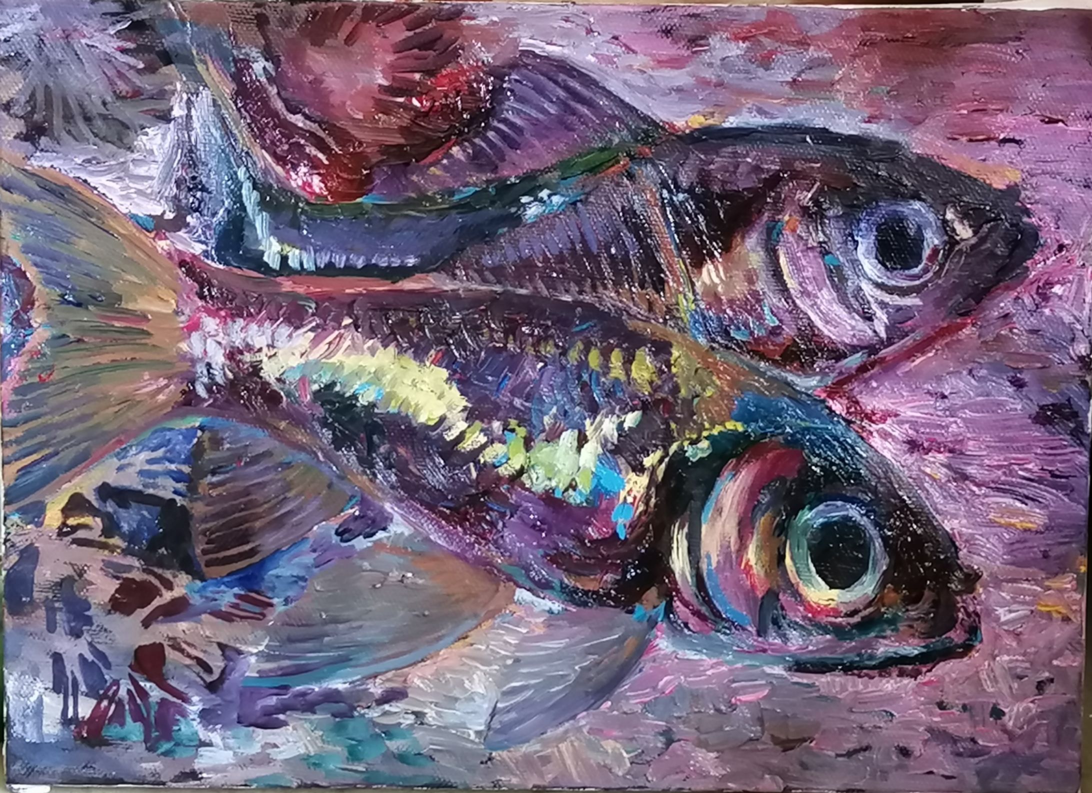 2020 1月　小赤-1