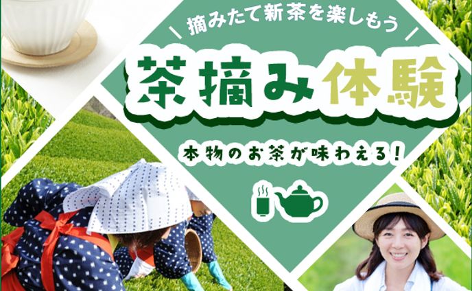 【バナー】茶摘み体験バナー