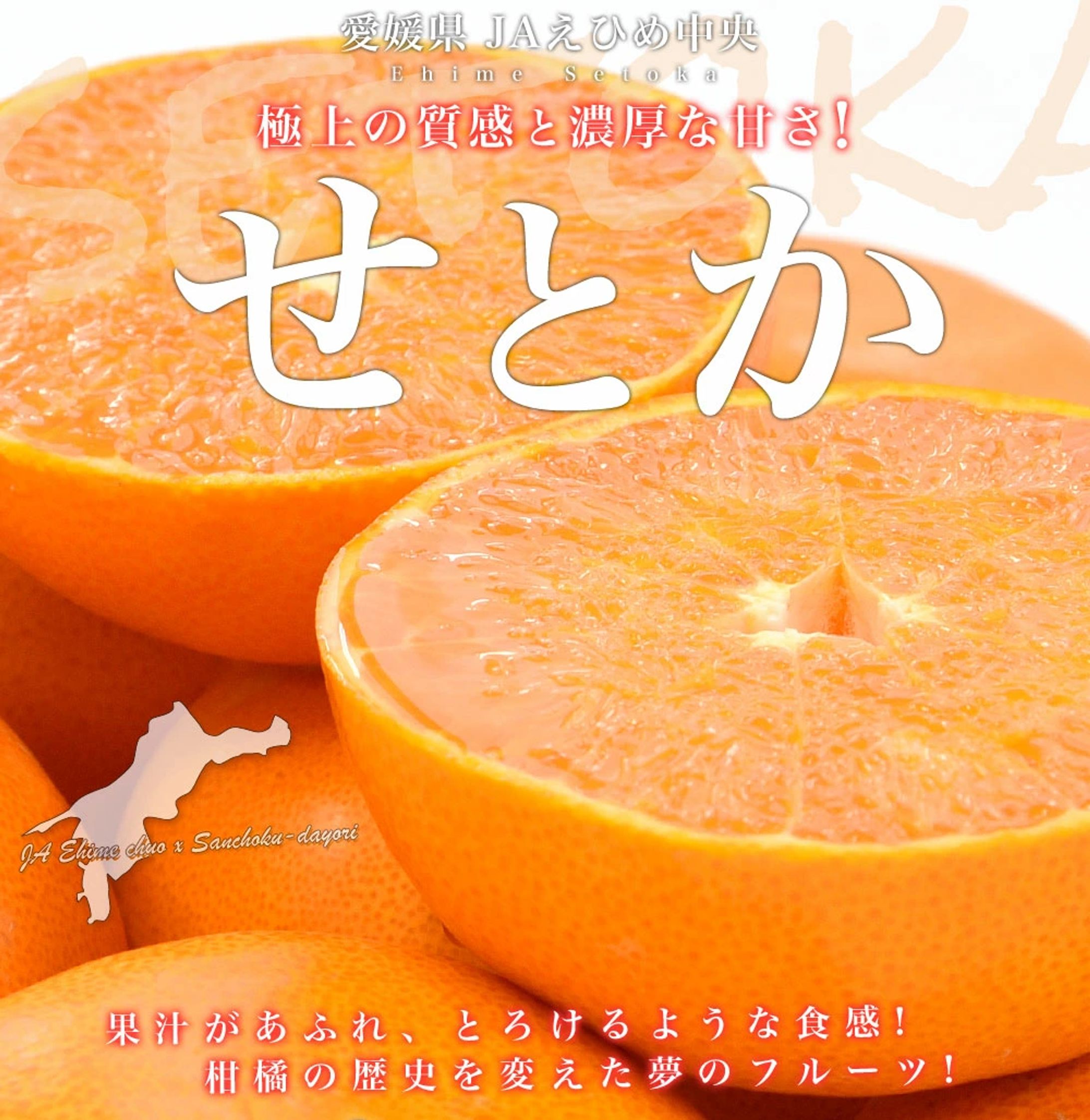 ECサイト商品ページ3_オレンジ※詳細に商品URL記載-1