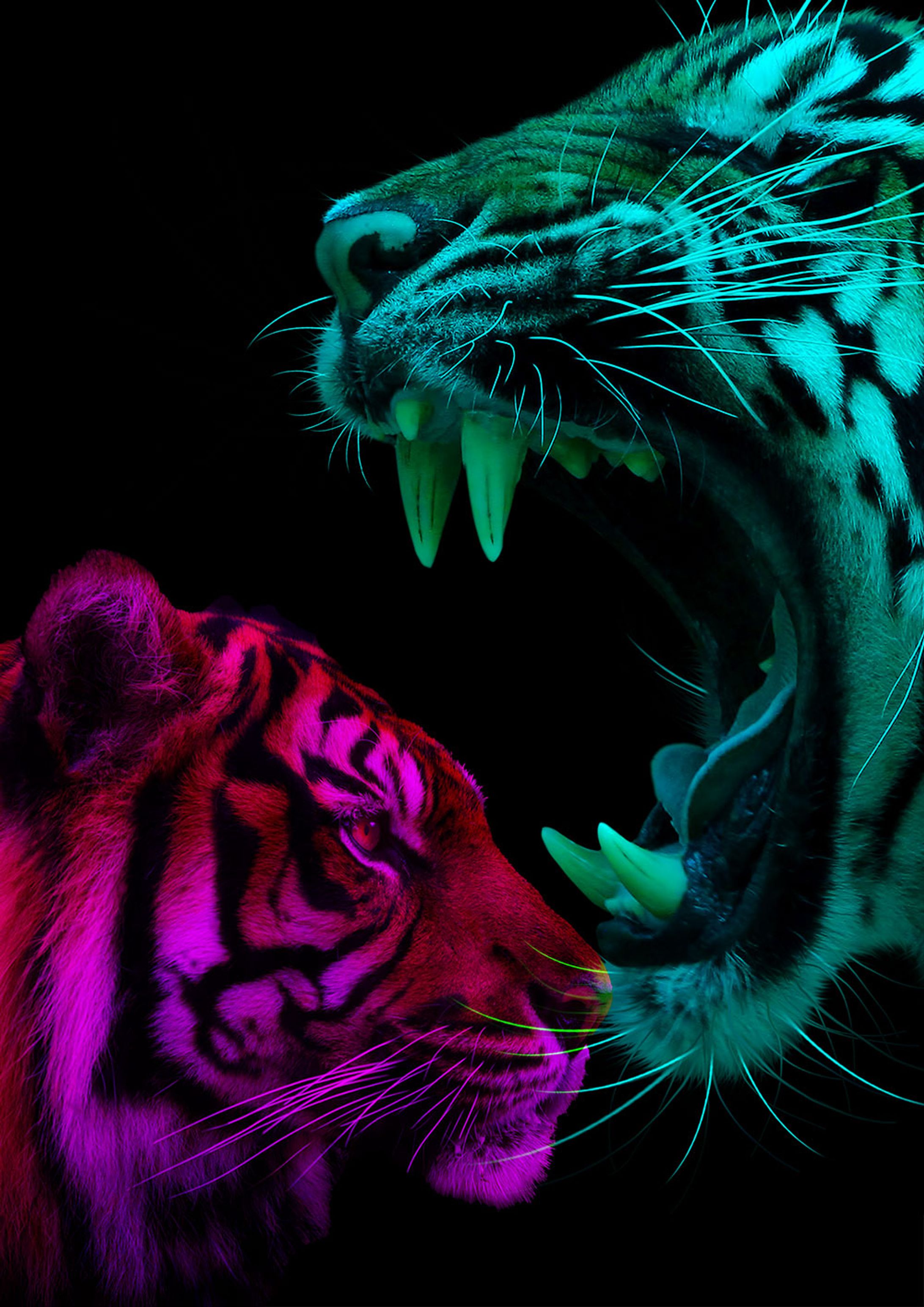 ANIMAL POSTER-1