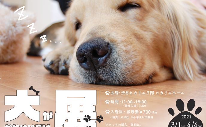 犬がかわいいだけ展　チラシ作成(架空）