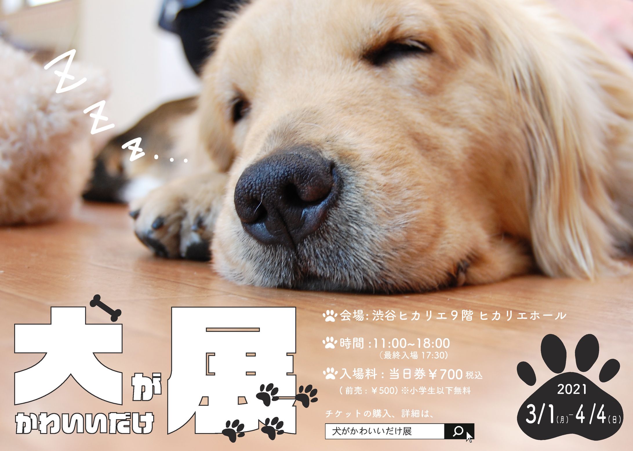 犬がかわいいだけ展　チラシ作成(架空）-1