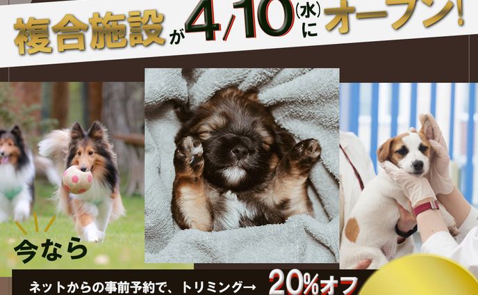 大阪中津の動物病院など犬の複合施設のインスタ広告用のクリエイティブ