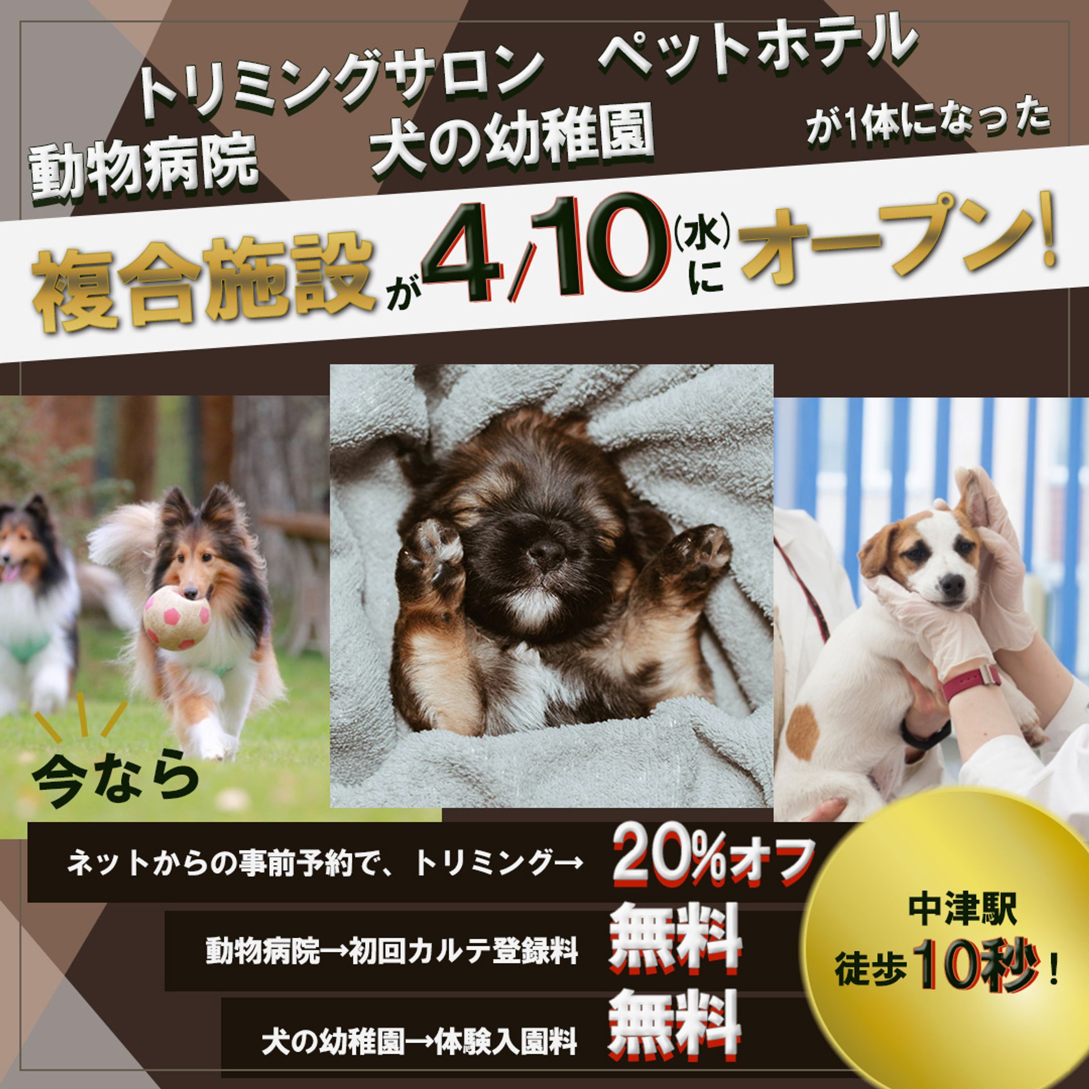 大阪中津の動物病院など犬の複合施設のインスタ広告用のクリエイティブ-1