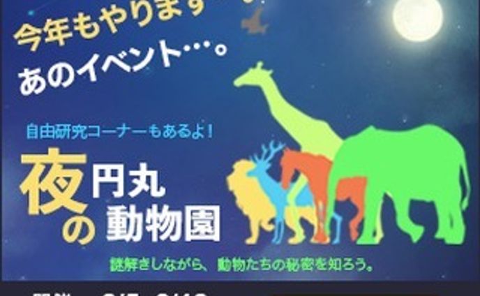 一日1バナー投稿、三十三日目。
33枚目（300×250）
※内容は架空のものです。
続きは、また明日…。

#バナーデザイン
#Webデザイン 
#Web広告
#一日1バナー投稿
#夜の動物園
#夕涼み
#自由研究
#継続は力なり