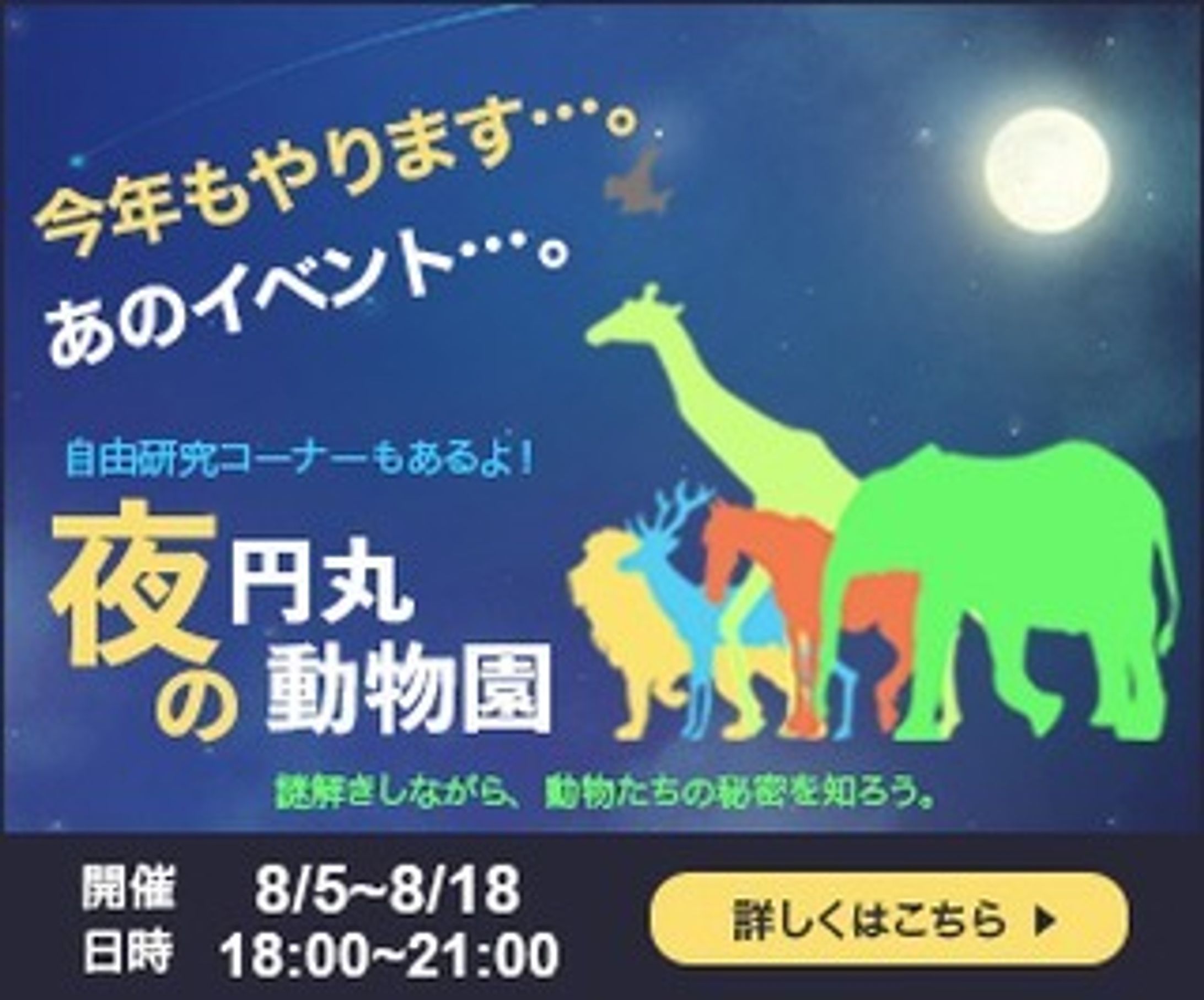 一日1バナー投稿、三十三日目。
33枚目（300×250）
※内容は架空のものです。
続きは、また明日…。

#バナーデザイン
#Webデザイン 
#Web広告
#一日1バナー投稿
#夜の動物園
#夕涼み
#自由研究
#継続は力なり-1