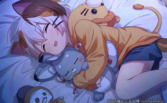 20240630 たたまるさんすやすや twit