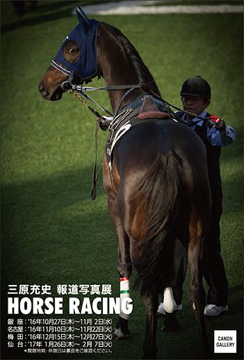 馬のいる景色 時速60kmの瞬間を捉え、馬のいる景色を美しく伝える。