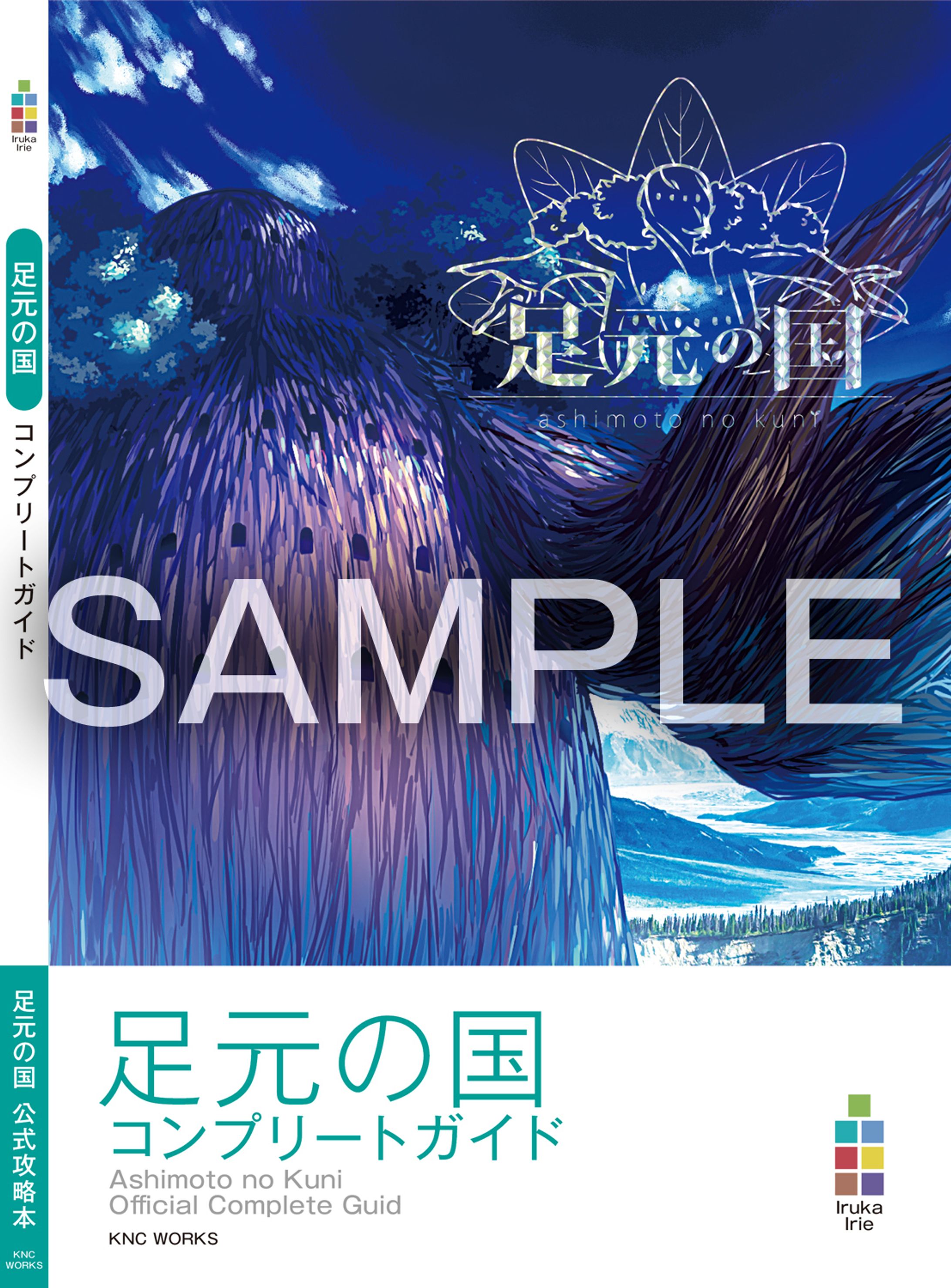 足元の国　コンプリートガイド-1