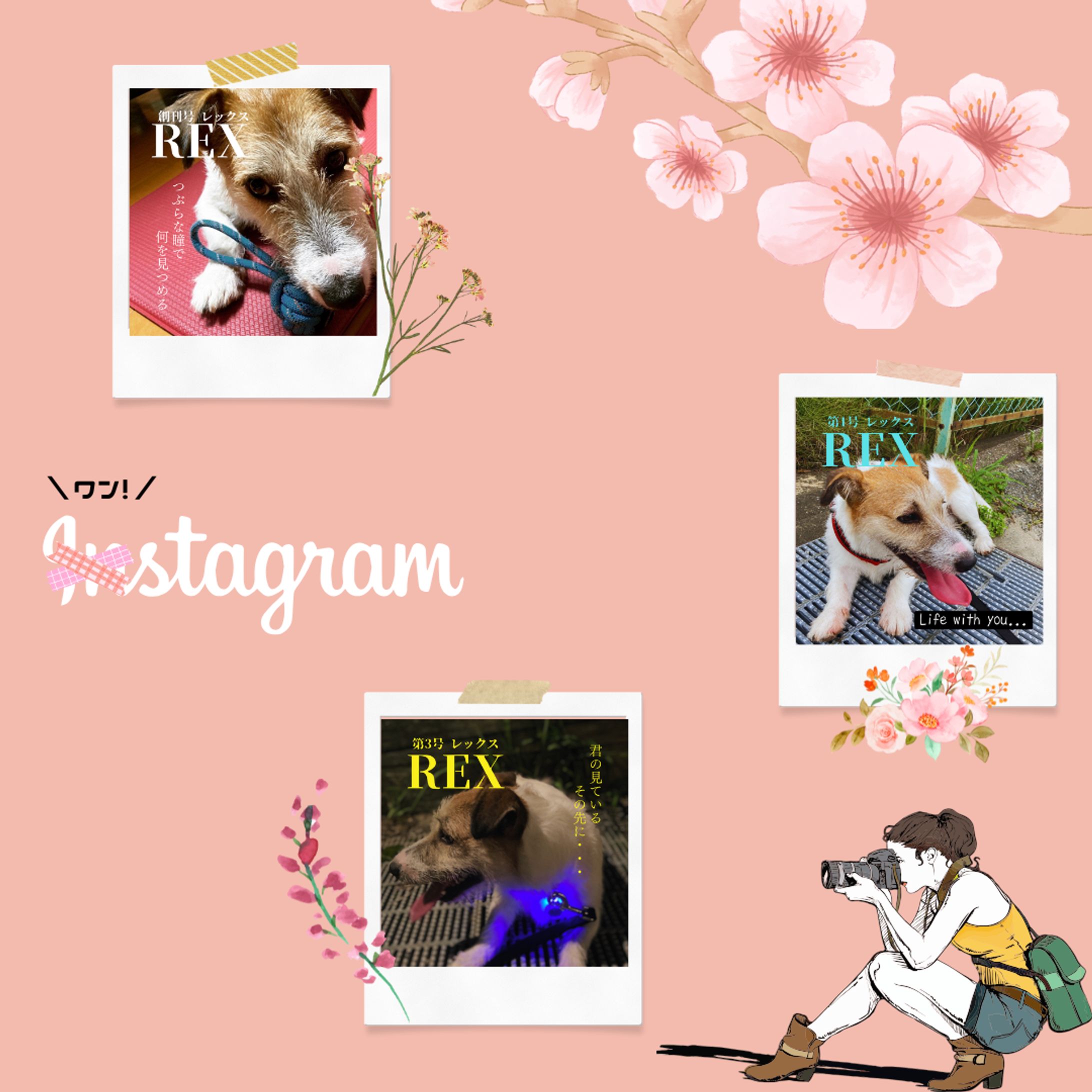 Instagram投稿用バナー-1