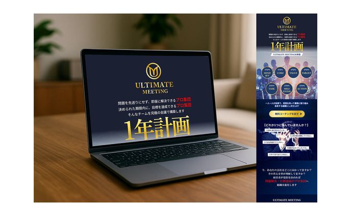 経営者向けコンサルサービス　LP
