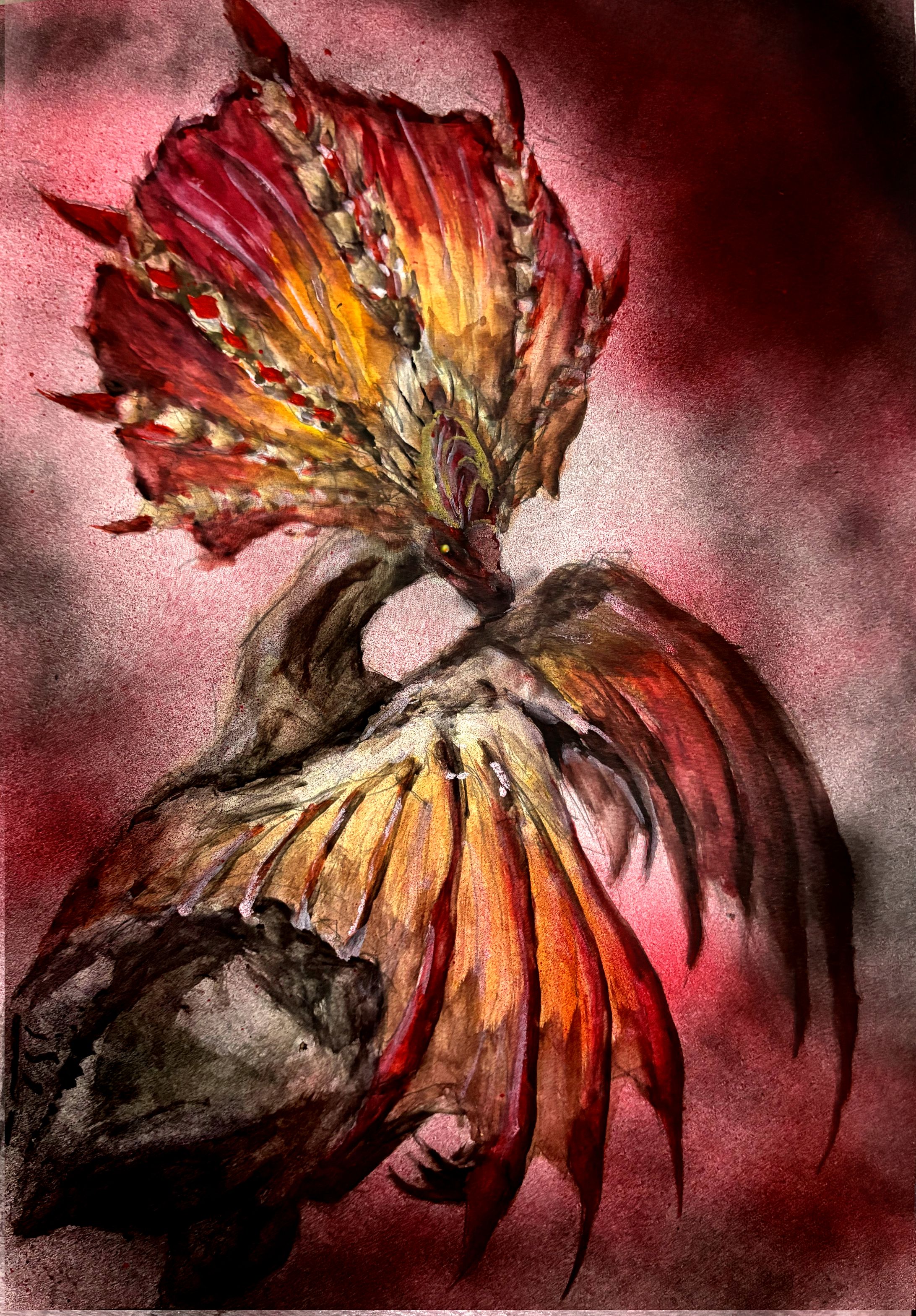 傘鳥アケノシルム-1