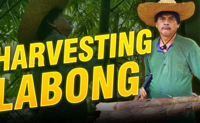 Kuya Meo - Youtube Thumbnail